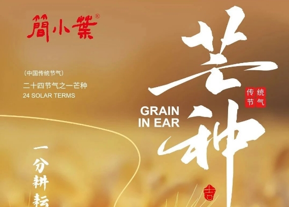 芒茶拾夏｜茶煙輕起時(shí)，「簡(jiǎn)小葉」藏夏色