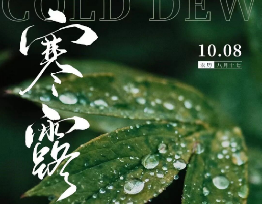 寒露|寒露至，秋思長
