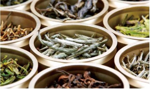 開卷有益｜放肆的想象力 奇妙的調(diào)配茶