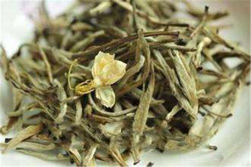 開卷有益｜茉莉花茶里沒有花，是真的嗎？