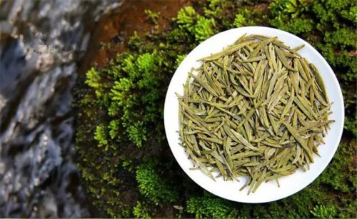 開卷有益｜君山銀針是白茶還是黃茶？