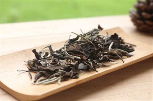 簡小葉說茶|哪種白茶更適合收藏？