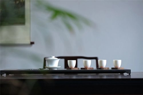 簡(jiǎn)小葉說(shuō)茶|白茶存放多久更好喝？