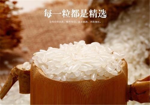 愛生活 愛簡小葉|土樓富硒米：拒絕陳化米，開啟鮮活米時(shí)代。